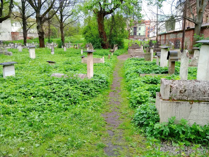 Planting in front of the older stones at Remuh Cemetery