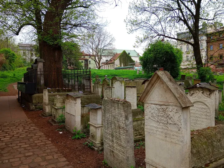 Graves beneath the trees at Remuh Cemetery