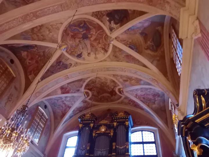 The branching ribs of the ceiling at Saint Barbara’s Church, Kraków