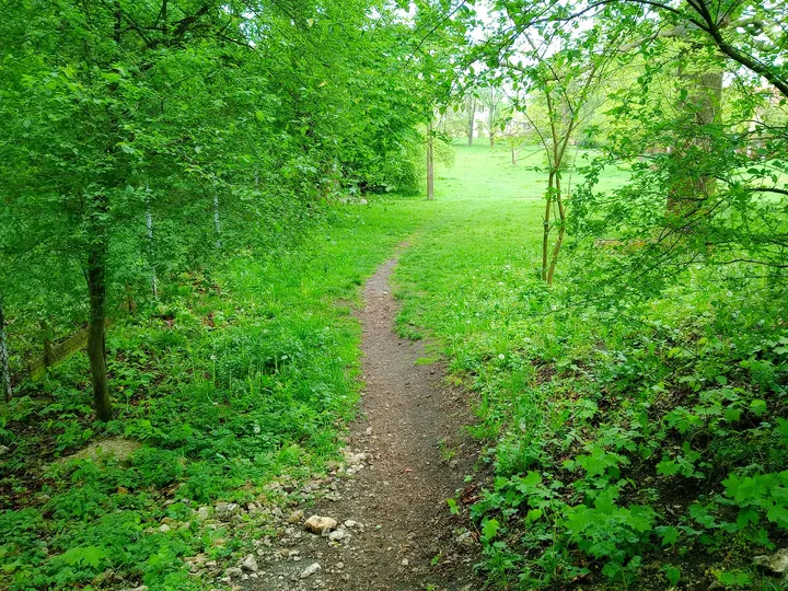 The wooded path up the hill at Saint Benedict’s Church, Kraków