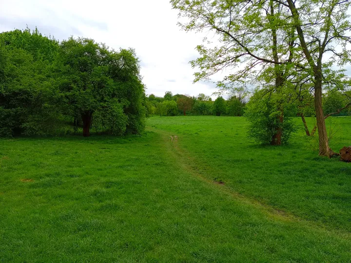 A path across the grassy hillside at Saint Benedict’s Church, Kraków