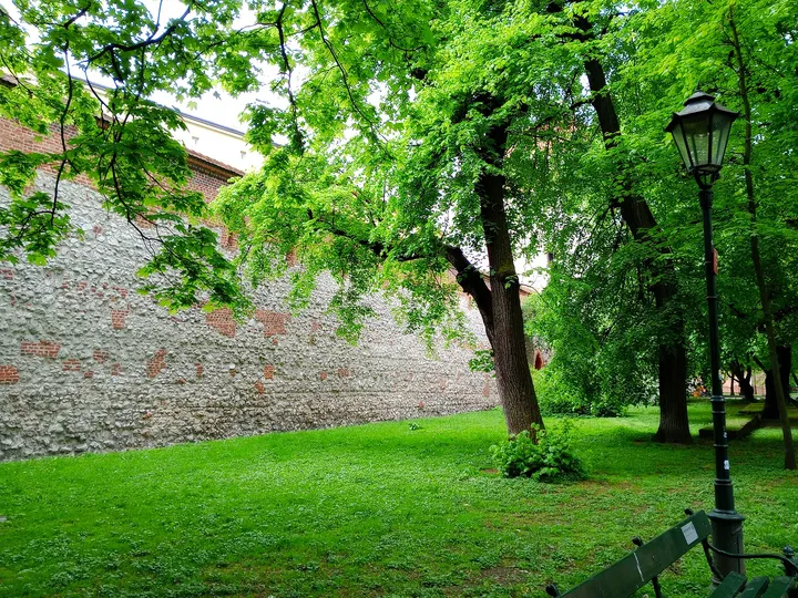Trees along the older wall at Saint Florian’s Gate