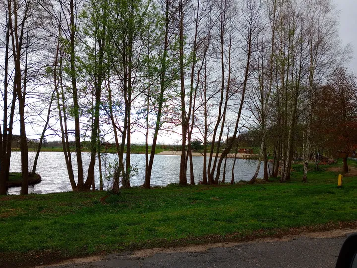 Reservoir beneath a line of trees at Świdnica reservoir