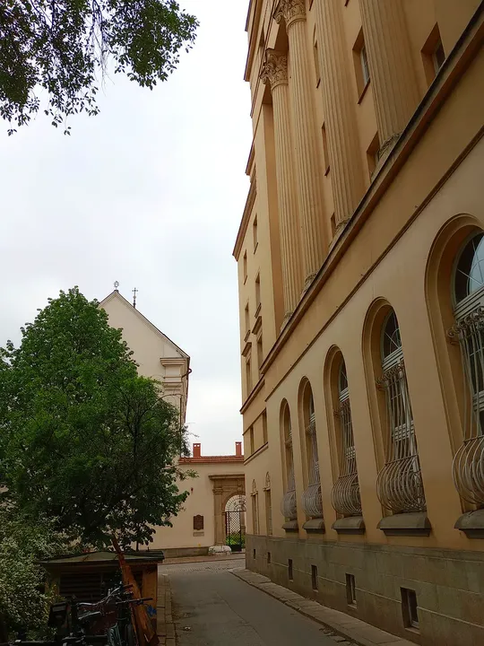 Trees beside the long wall at Świętego Marka Street