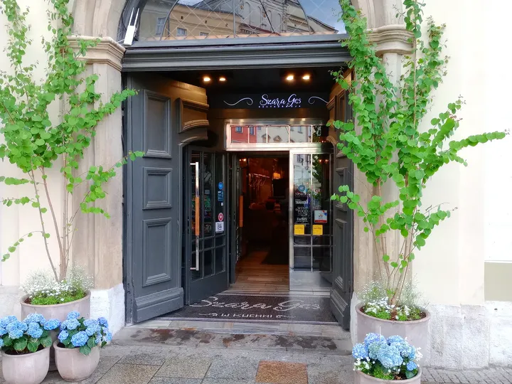 Restaurant doorway beneath the canopy at Szara Gęś