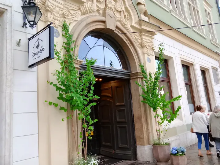 Arched entrance beside the planted pots at Szara Gęś