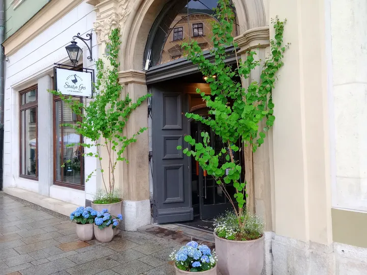 Entrance framed by climbing greenery at Szara Gęś