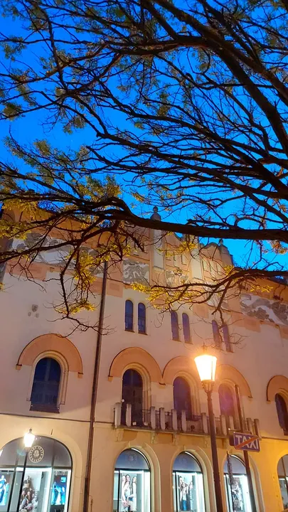 Branches above the Palace of Art at Szczepański Square