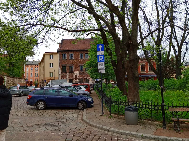 Trees in front of the older buildings at Szeroka Street