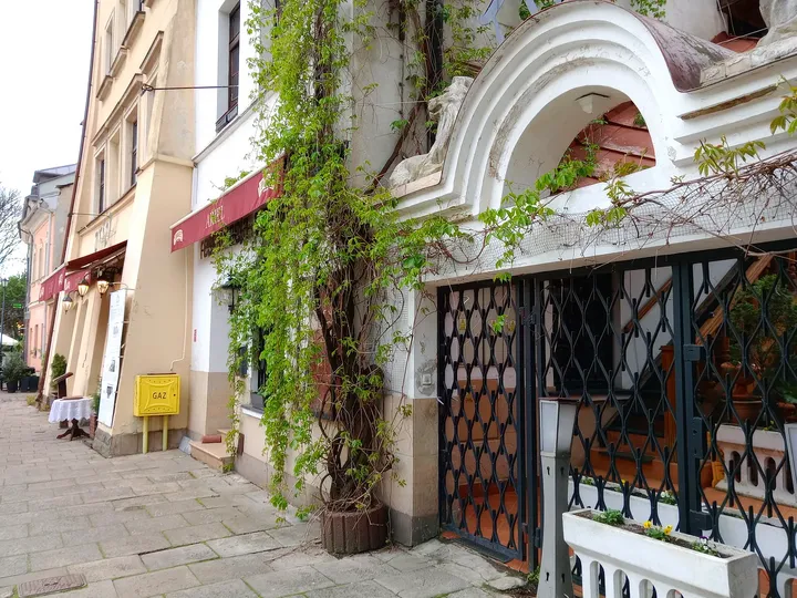 Planting beside another doorway at Szeroka Street