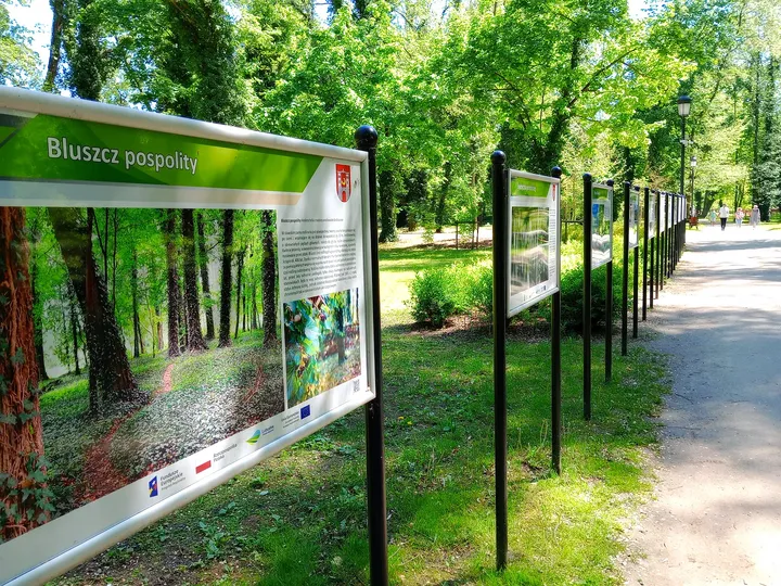 Park presentation sign at Town Park, Sława