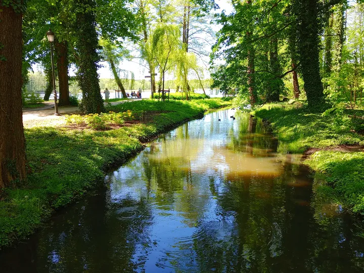 Narrow channel beneath the trees at Town Park, Sława