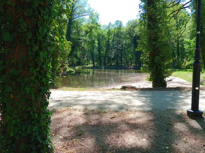 Sandy path through the woodland at Town Park, Sława