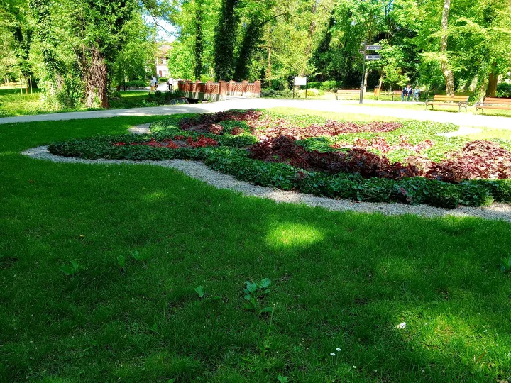 Formal planting beside the paths at Town Park, Sława