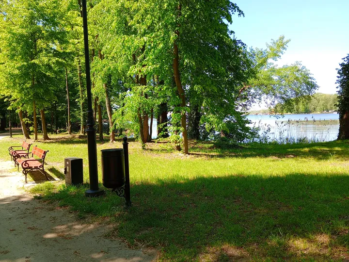 Trees beside a picnic area at Town Park, Sława