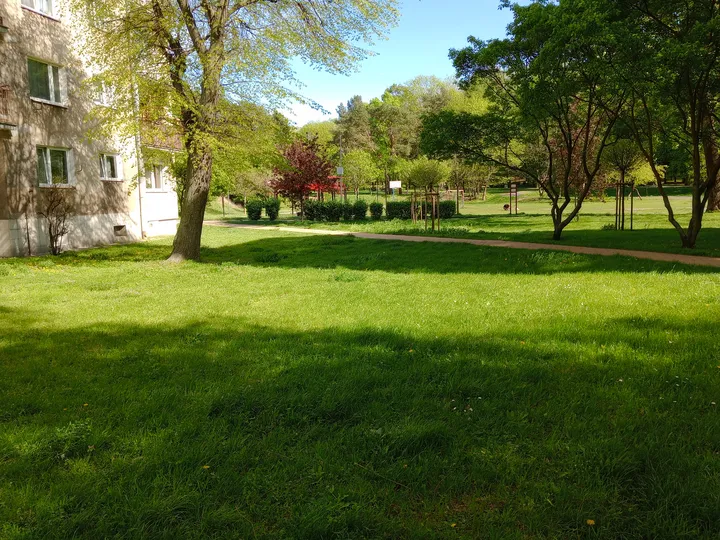 Park lawn beside the exercise area at Tysiąclecia Park outdoor exercise ground