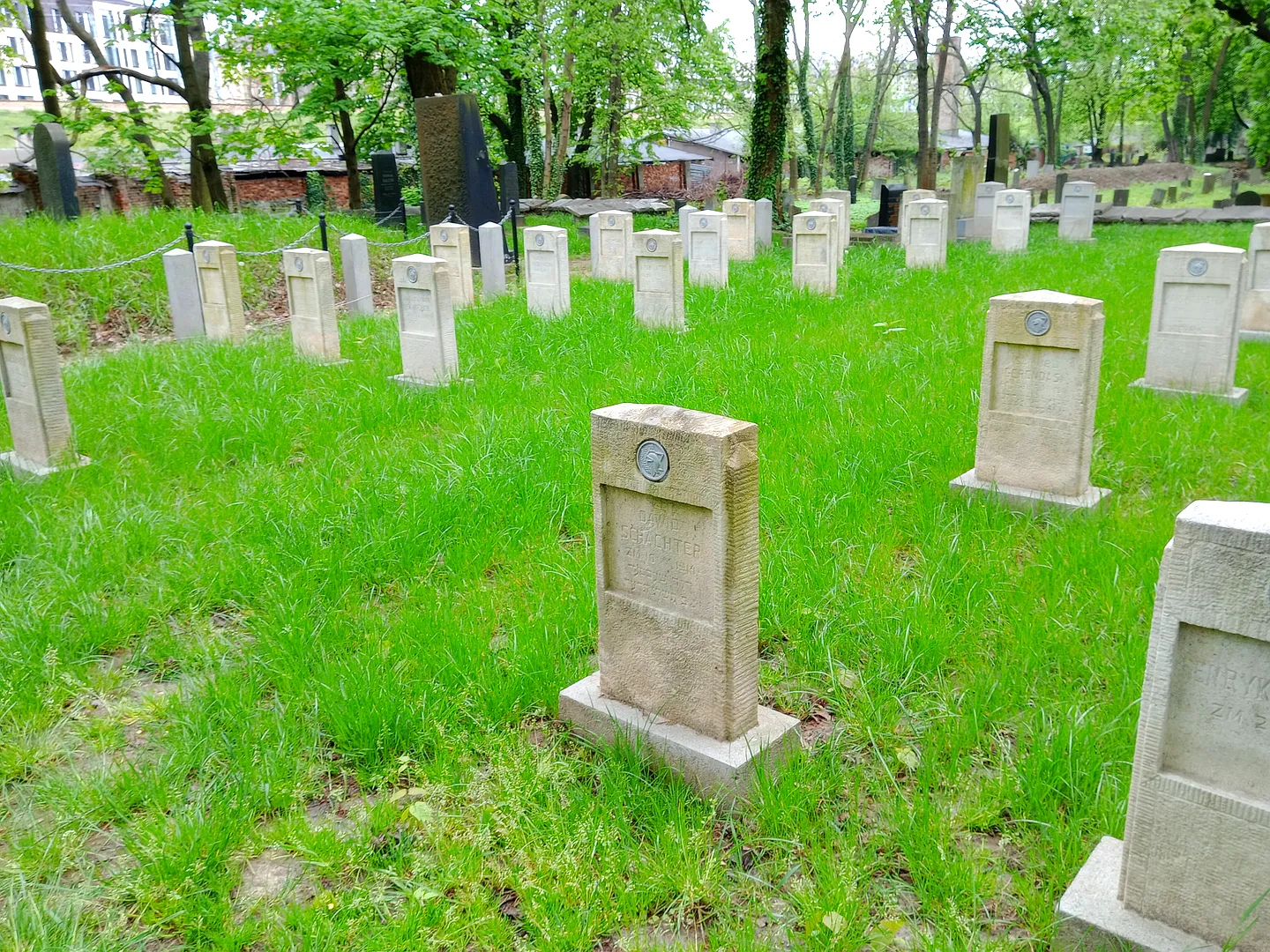 Rows of pale grave markers at War Cemetery No. 387, Kraków