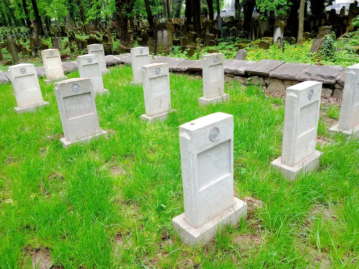 Markers on the green slope at War Cemetery No. 387, Kraków
