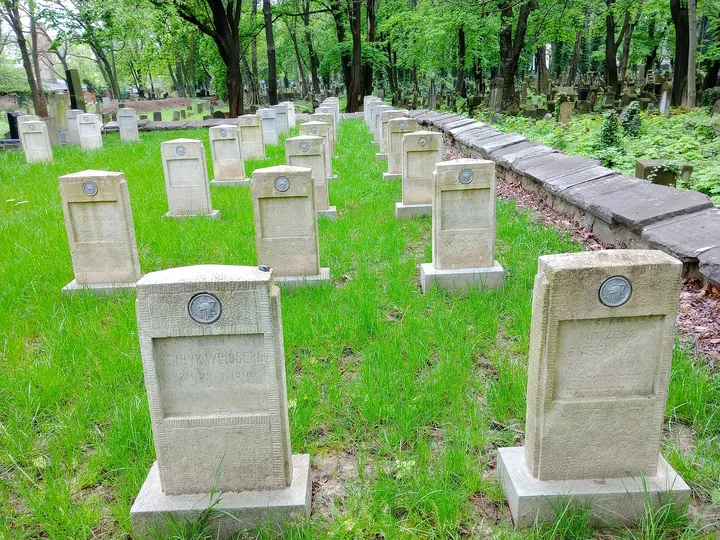 Paths between the military graves at War Cemetery No. 387, Kraków