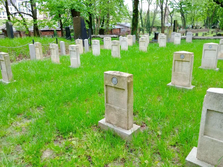 Rows of pale grave markers at War Cemetery No. 387, Kraków