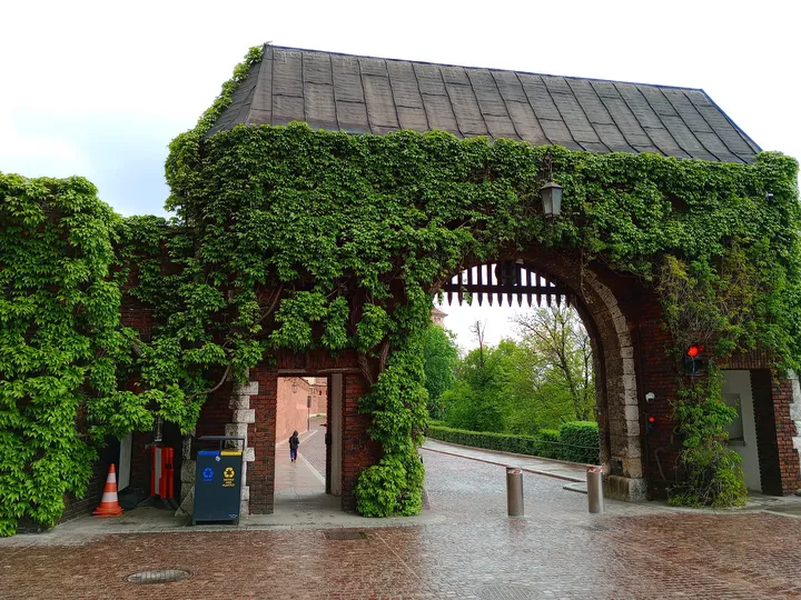 Ivy covers the upper part of a gateway along the approach on Wawel Hill in Kraków