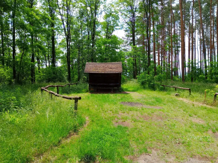 A bench in a clearing at Wilkanowo observation tower