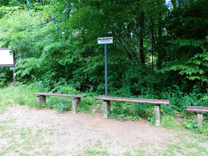 A marked path into the forest at Wilkanowo observation tower