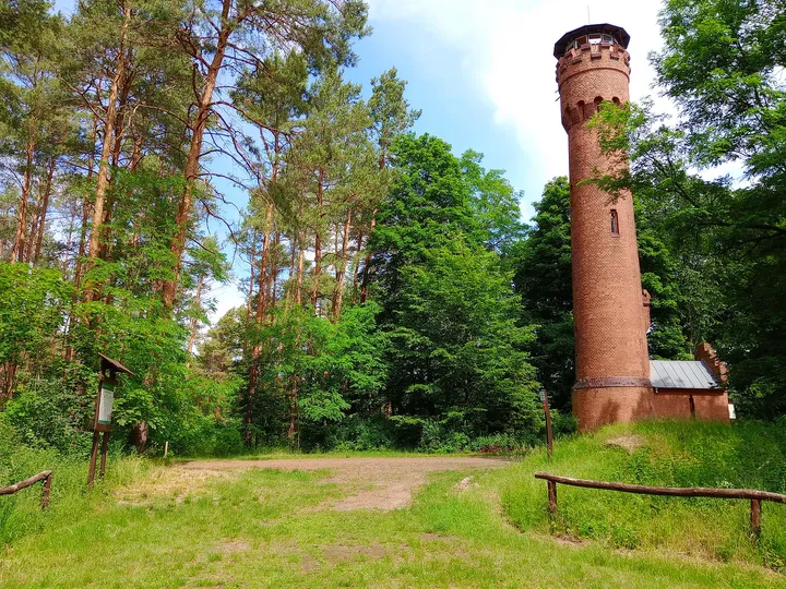 The tower beyond the open clearing at Wilkanowo observation tower