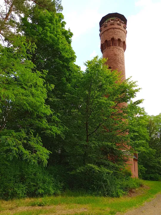 The tower above spring foliage at Wilkanowo observation tower