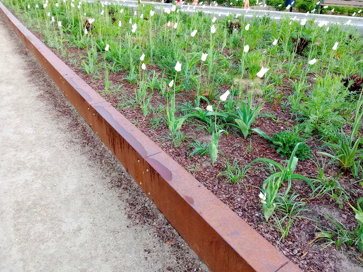 Young planting in a raised bed at Wisława Szymborska Park