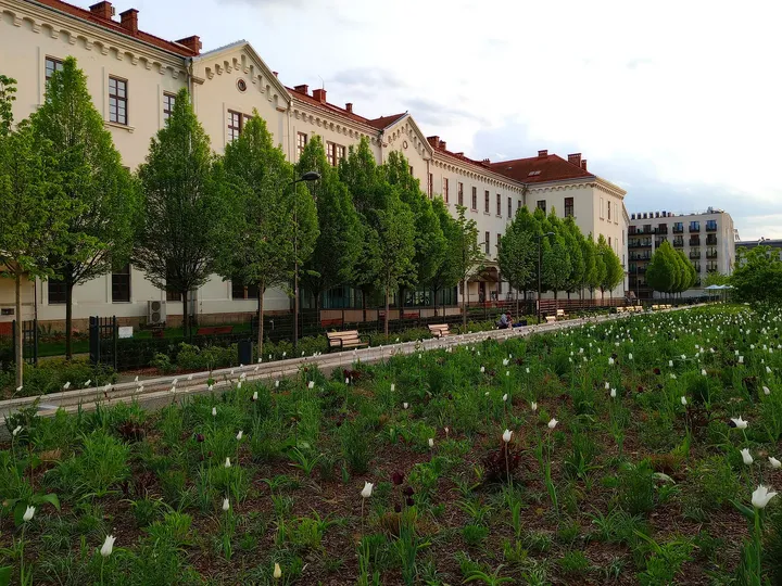 Long view along the spring planting at Wisława Szymborska Park