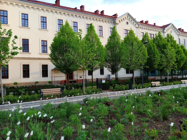 Beds in front of the neighbouring buildings at Wisława Szymborska Park