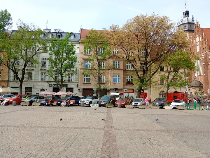 Trees and surrounding townhouses at Wolnica Square