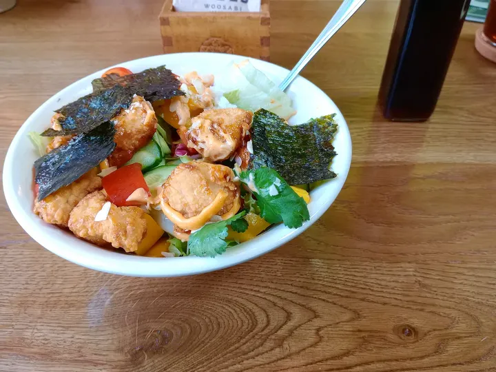 Closer view of the meal at Woosabi