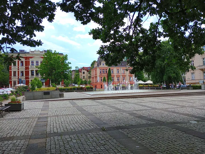 Trees around the commemorative square at World War II memorial, Zielona Góra