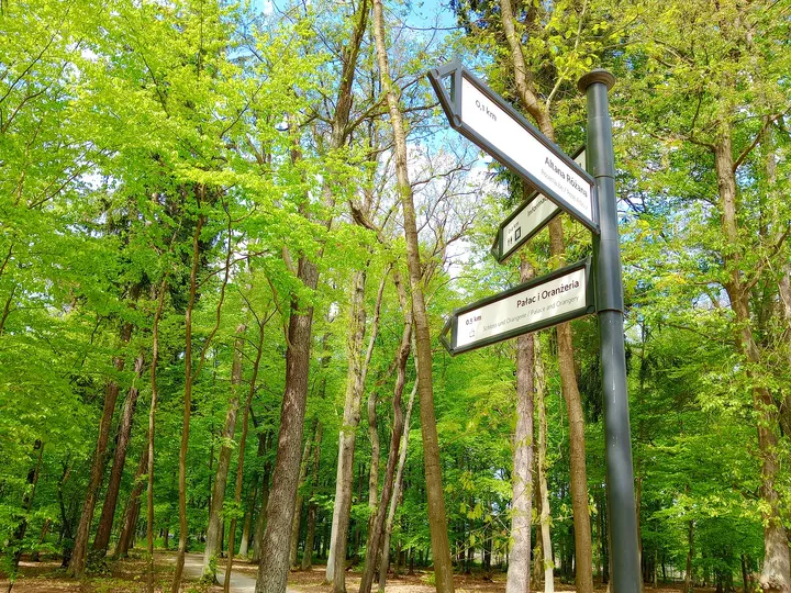 Direction signs at a woodland junction help with choosing where to walk next in Zatonie Ducal Park