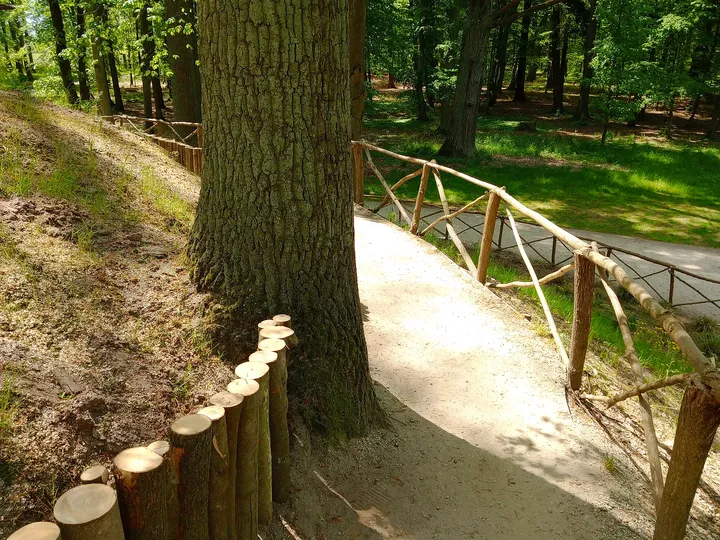 A narrow park path and wooden railing beside a large tree near the grotto in Zatonie