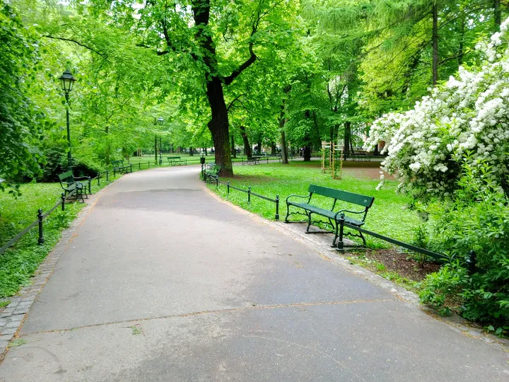 Paved path through the Planty at Zbigniew Wodecki Square