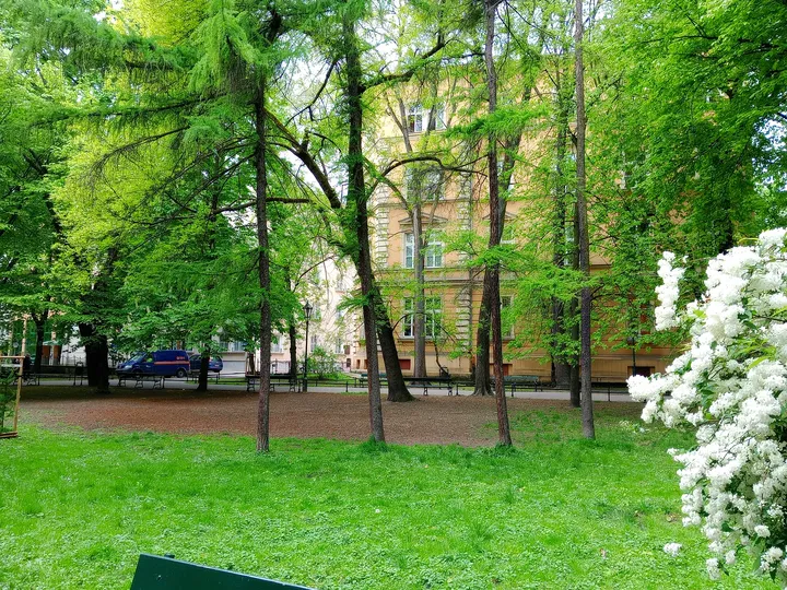 Green corner of the park at Zbigniew Wodecki Square