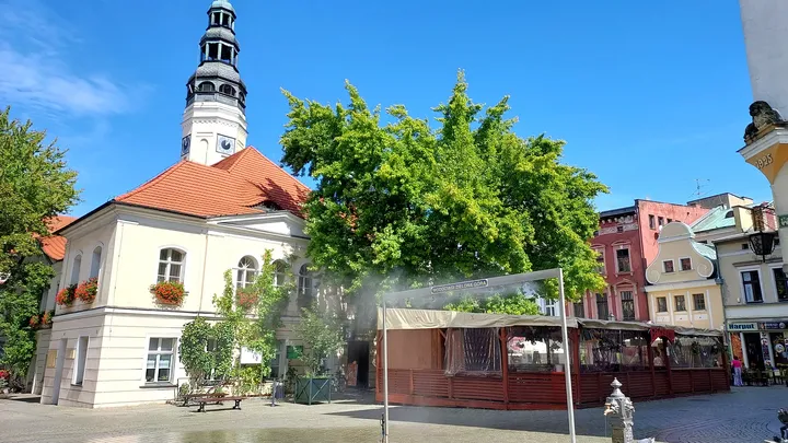 Town hall roof above the nearby planting at Zielona Góra Old Market Square