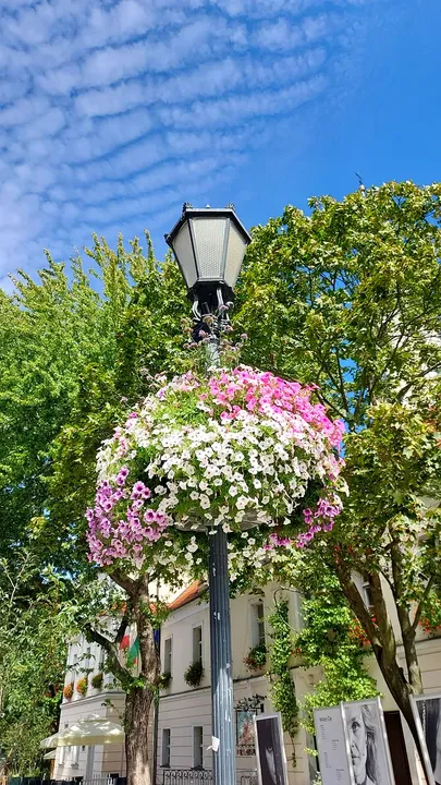 Hanging flowers beside the streetlamp at Zielona Góra Old Market Square