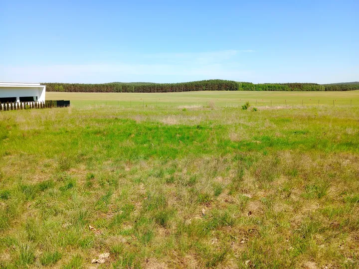 Airfield buildings beyond the field at Zielona Góra–Przylep airfield
