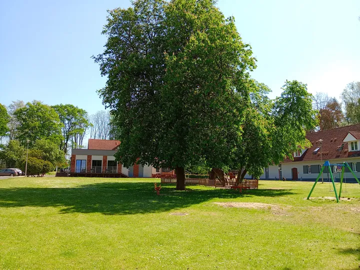 Trees and open lawns at Zielona Góra–Przylep airfield
