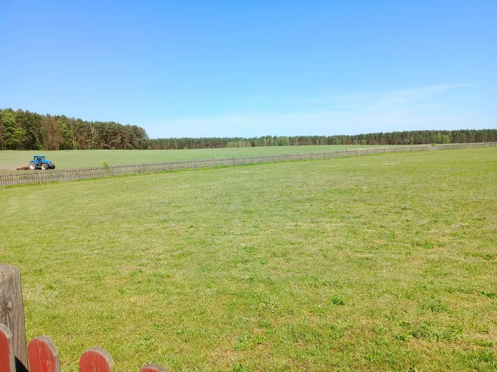 Open grass beside the airfield at Zielona Góra–Przylep airfield